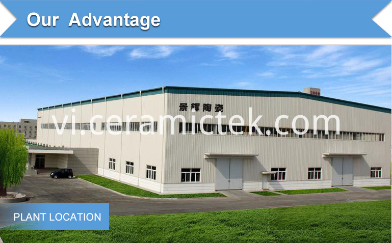 Thực vật Plant